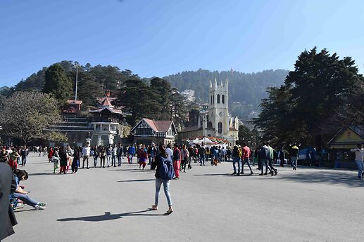 Shimla